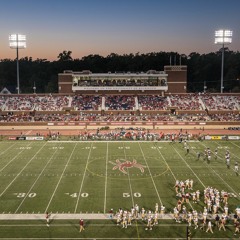 Stop 9: Robins Stadium and Athletics 2022
