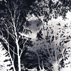 nvr get enough prod. pxr + o2