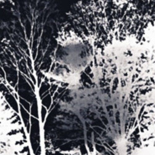 nvr get enough prod. pxr + o2