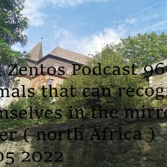 Podcast 966 @ Animals That Can Recognize Themselves In The Mirror - Elster ( Africa ) 07 05 2022