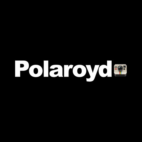 POLAROYD (Istantanee delle storia della musica)