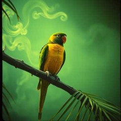 Perico v.5 final