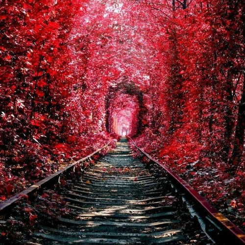Tunnel Of Love ♥️ 🇺🇦 [D&B Mix]