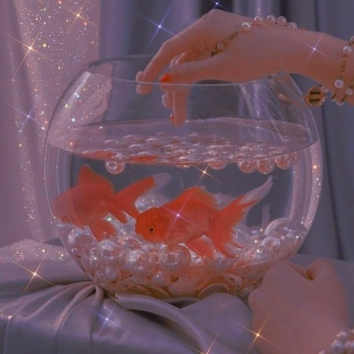 Another Random Playlist