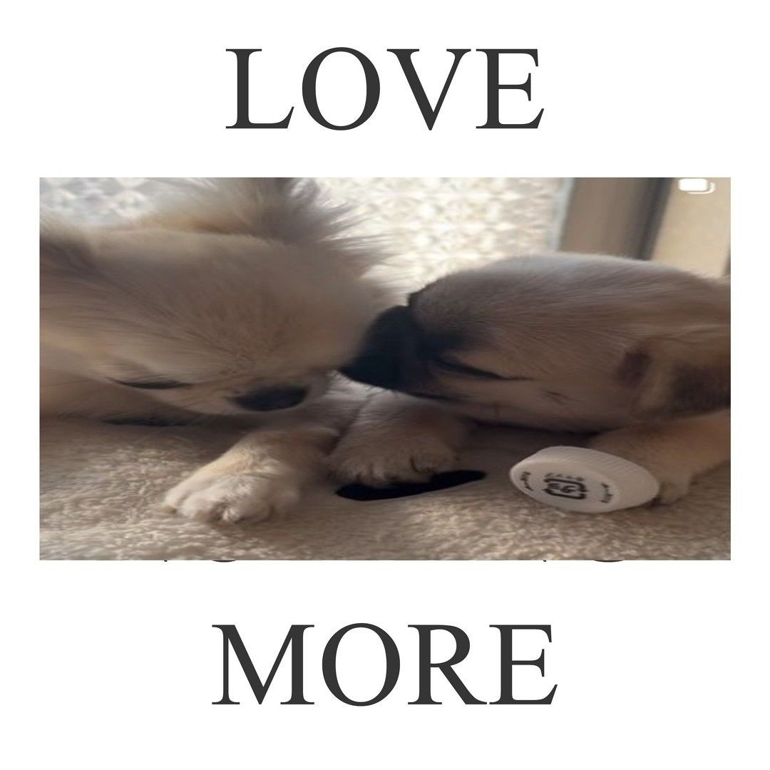 Stream ELUSIN [116] (FAKEMINK - BAMBI BEAT) by Prblm/Yzma Archive | Listen  online for free on SoundCloud