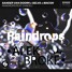 Sander Van Doorn X Selva X Macon - Raindrops (feat. Chacel) - (Alek The Broke Remix)
