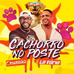 Cachorro no Poste