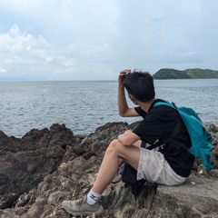 Trip trên đảo hoang - 2024