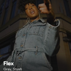Gray - FLEX (Stush)