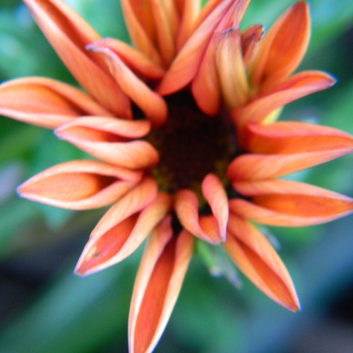 Ember Waves