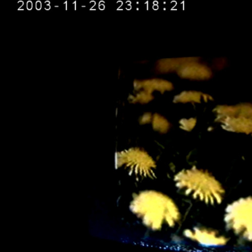 'where is maxlish' show interview bckground music, no tv noise&pitching