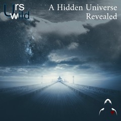 Urs Wild - Conclusion [Dark Heart Ambient]