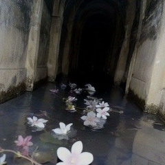 JABBA + ME #MOLLYLAKE