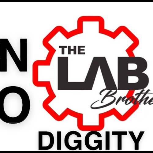 ShySoSmoove ~ LB Diggity  (LabBrothers anthem