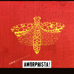 Amorphista!