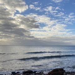 sometimesifeellikethegrinch - (w/ adelaidtocanada)