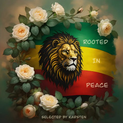Rooted In Peace_Vinyl Mix_12/23/2024