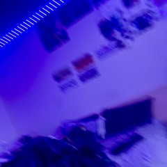 In My Room