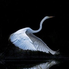 Benson Boone - Mystical Magical (Slowed & Reverb)