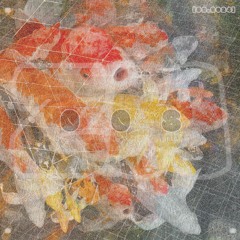 z. m 008 [02.2024]