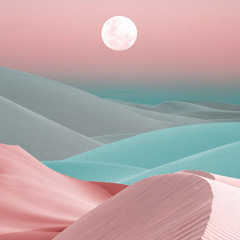 sand sailing with the princess