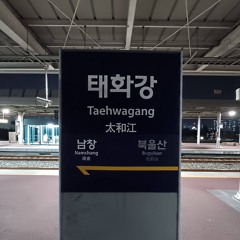 Mermaid taehwagang