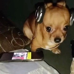 私の音