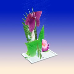 Tulip