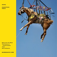 Repro - Equestrian Sizzle 12" EP - EUROMANTIC 006 Previews