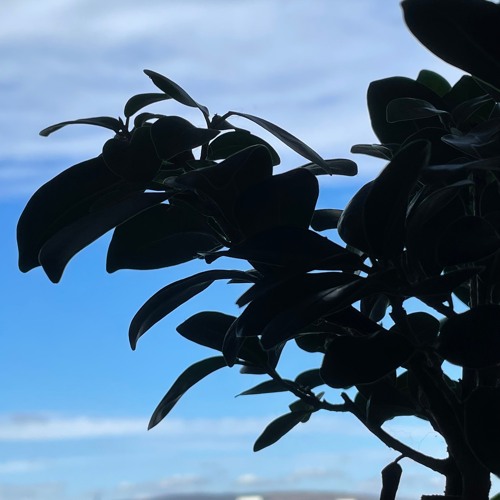 Inbloom Songame S2 Jam #2