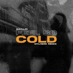 Gaullin - Feel so Cold (Nylherk Remix)