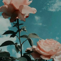 Xassa - Фонари