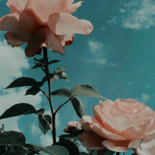 Xassa - Фонари