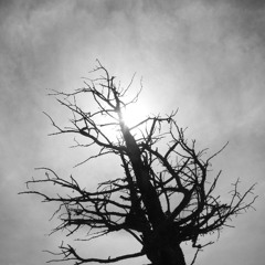 In the harrowing distance