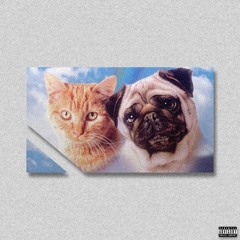Milo and Otis (p. 22nate)