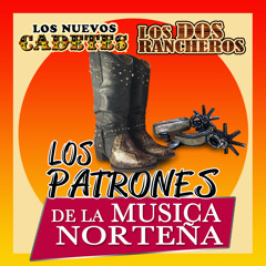 Que Metida De Pata