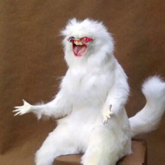 Set Ode An Ein Hauch Von Tüll