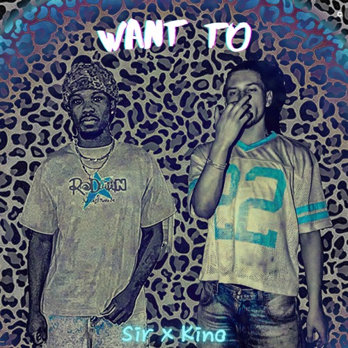 S!r Nelly x K!no -Want To
