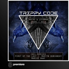 Premiere: Wacko & Leedman - Enshi (Original Mix) - Trippy Code