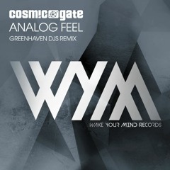 Cosmic Gate - Analog Feel (Greenhaven DJs Remix) [ABGT 496 RIP]