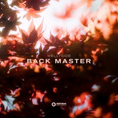 Wellyside - Back Master