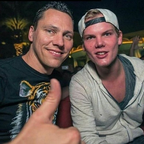 DJ Tiestoレコードコレクション 25枚 Armin/Avicii Armin van Buuren And DJ Tiesto Present Alibi - Eternity
