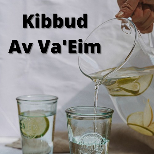 Kibbud Av Va'eim 9 - In-Laws, Step Parents & Older Siblings