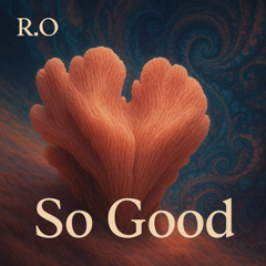 Roi Omer - So Good