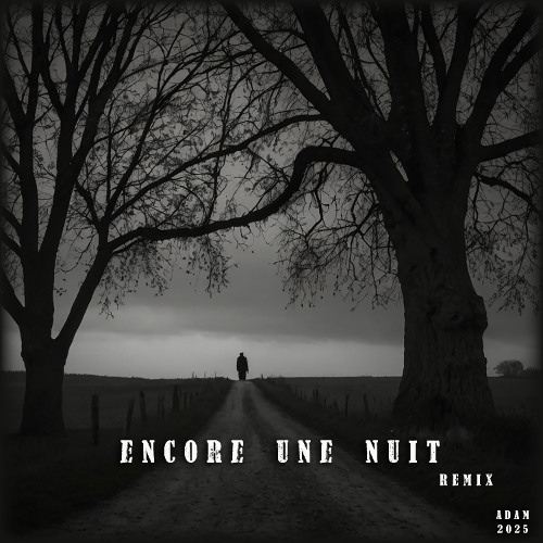 Encore une nuit