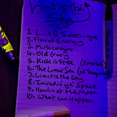 Limit is the Sky (Demo)