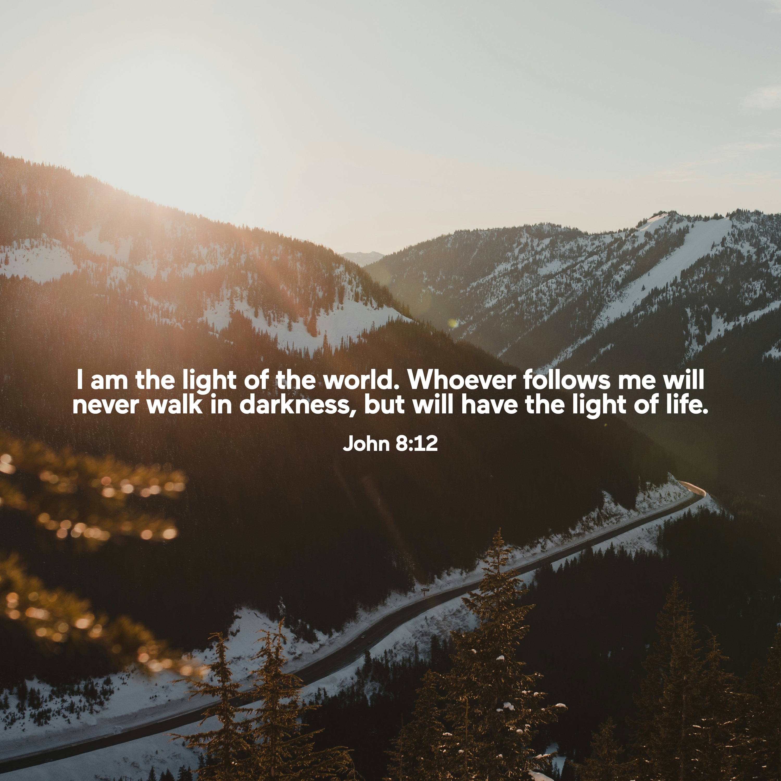 Jesus the Light of the World