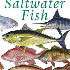 [View] EPUB 📂 Ken Schultz's Field Guide to Saltwater Fish by  Ken Schultz EBOOK EPUB