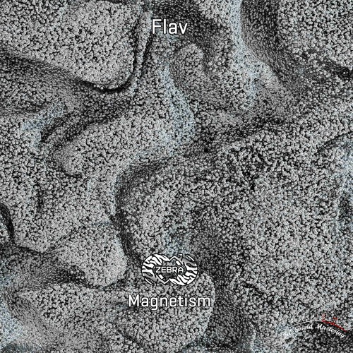 Flav - Magnetism • Zebra Rec. [ZBREP010] • 2022 (snippet)