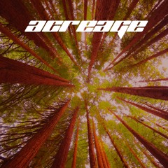 Premiere: ACREAGE – CHRONIC